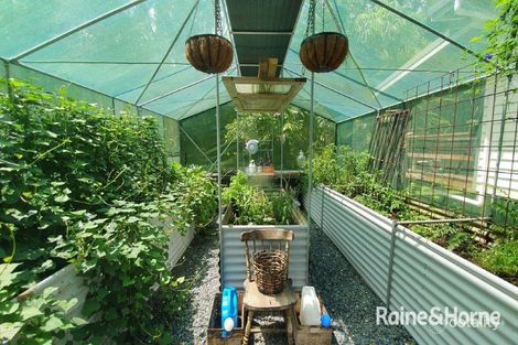 Property photo of 6 White Beech Road Cow Bay QLD 4873