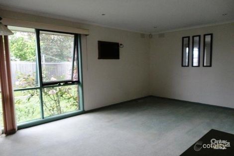 Property photo of 59 Glenelg Drive Clayton South VIC 3169