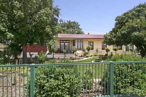 Property photo of 14 Angle Vale Road Evanston Gardens SA 5116