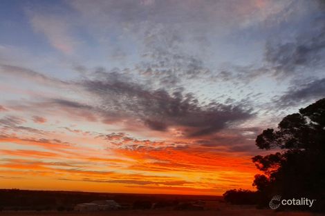 Property photo of 4 Rainbird Rise Mount Barker WA 6324