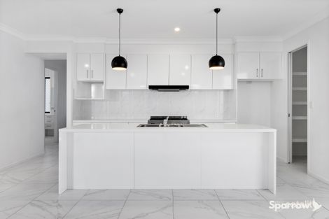 Property photo of 3 Lacewing Crescent Bahrs Scrub QLD 4207