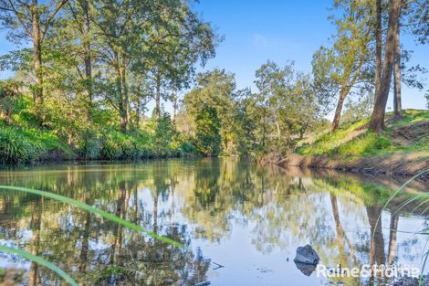 837-845 Gradys Creek Rd, Gradys Creek, NSW 2474