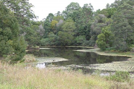 125 Gabal Rd, Lillian Rock, NSW 2480