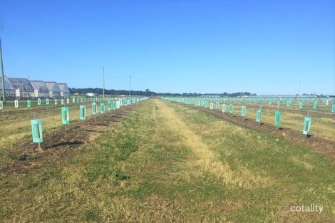 34 O'Keefes Lane, East Wardell, NSW 2477