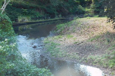 317 Gradys Creek Rd, The Risk, NSW 2474