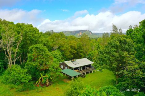 Property photo of 28/78 Cecil Street Nimbin NSW 2480