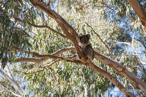 Property photo of 170 Norton Summit Road Teringie SA 5072