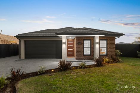 2 GIACCO BVD, LANG LANG, VIC 3984