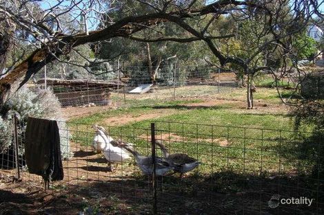 Property photo of 58 Macartney Street York WA 6302