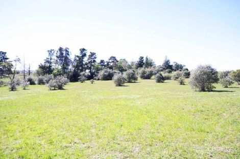 Property photo of 29 Winders Lane Lochinvar NSW 2321