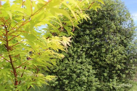 Property photo of 9 Mahnke Street Stawell VIC 3380