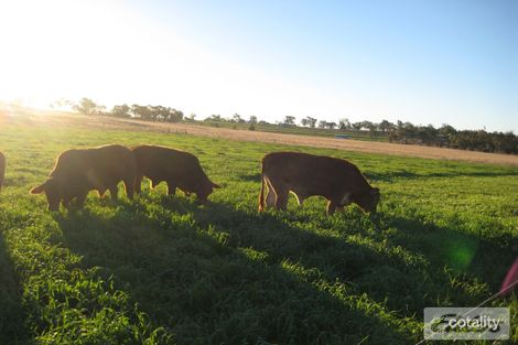 14173 Cunningham Hwy, Rosenthal Heights, QLD 4370