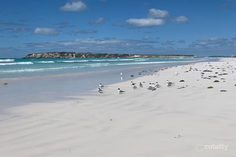 10092 Indian Ocean Dr, Cooljarloo, WA 6507