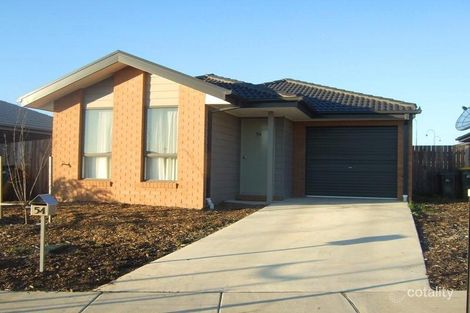 54 John Holt St, Macgregor, ACT 2615