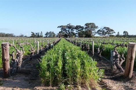 48 Belvidere Rd, Ebenezer, SA 5355