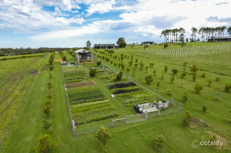 Property photo of 11 Coolangatta Road Coolangatta NSW 2535