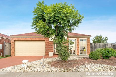 Property photo of 55 Papillon Parade Tarneit VIC 3029