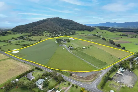 Property photo of 11 Coolangatta Road Coolangatta NSW 2535