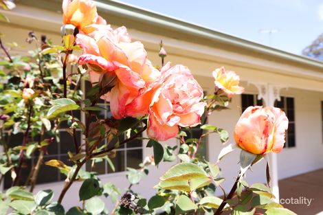 Property photo of 11 Slaughter Yards Road Gulgong NSW 2852