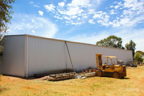 51 Trenerry Ave, Loxton, SA 5333