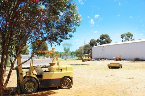 Property photo of 51 Trenerry Avenue Loxton SA 5333