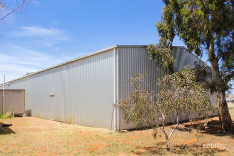 Property photo of 51 Trenerry Avenue Loxton SA 5333