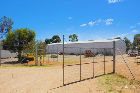 Property photo of 51 Trenerry Avenue Loxton SA 5333