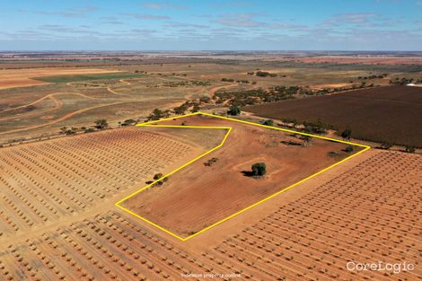 Property photo of 164 Thurlow Lane Red Cliffs VIC 3496