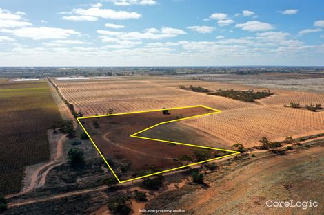 Property photo of 164 Thurlow Lane Red Cliffs VIC 3496