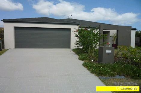 Property photo of 1 Waterlily Circuit Carseldine QLD 4034