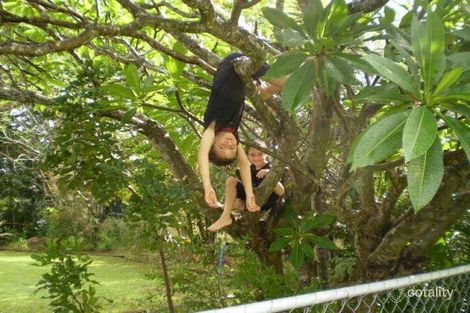 Property photo of 9 Delacy Street North Ipswich QLD 4305