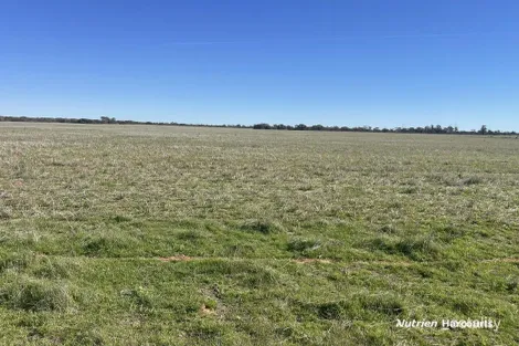 331 Red Dam Rd, Cleary, WA 6472