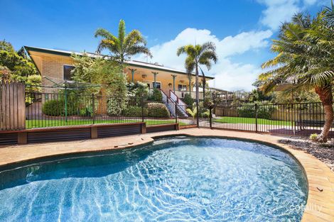 Property photo of 19 Lingara Avenue Palmwoods QLD 4555