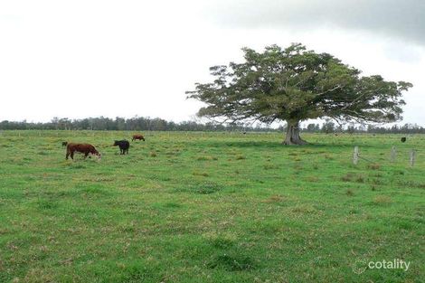 440 North Moto Rd, Moto, NSW 2426