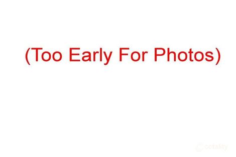 299 Cheltenham Rd, Keysborough, VIC 3173