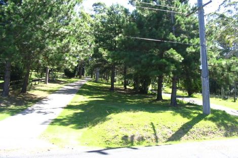 Property photo of 37 Alan Street Niagara Park NSW 2250