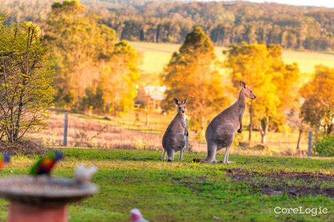 Property photo of 107 Clyde Essex Drive Gulmarrad NSW 2463