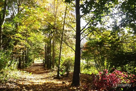 Property photo of 35 River Oaks Drive Kendall NSW 2439