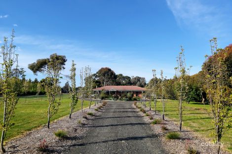 Property photo of 112 Gap Road Riddells Creek VIC 3431