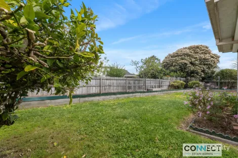 Property photo of 6 Colvin Court Glen Waverley VIC 3150