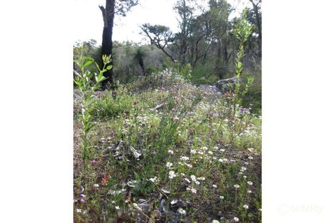 Property photo of 51 Jarrah Road Manjimup WA 6258