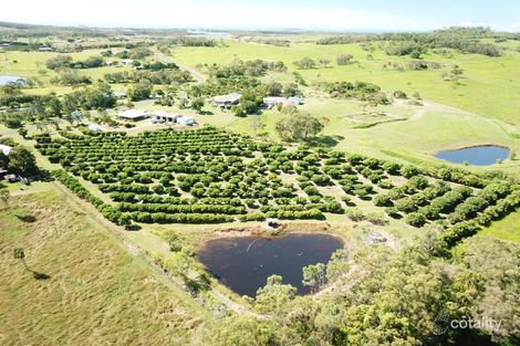 Property photo of 36 Droughtmaster Drive Hay Point QLD 4740