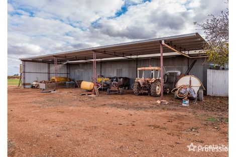 Property photo of 212 Ponde Street Red Cliffs VIC 3496