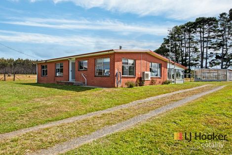 Property photo of 189 Pinners Road West Takone TAS 7325