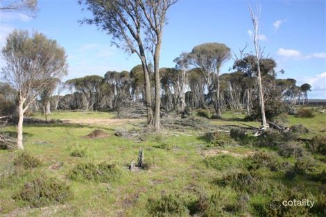 Lot 649 Bullock Hills Rd, Wagin, WA 6315