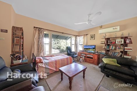 Property photo of 141 Sandakan Road Revesby Heights NSW 2212