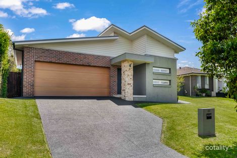 69 Radiant Ave, Bolwarra Heights, NSW 2320