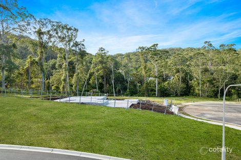 Property photo of 7 Yellow Box Avenue Springfield NSW 2250