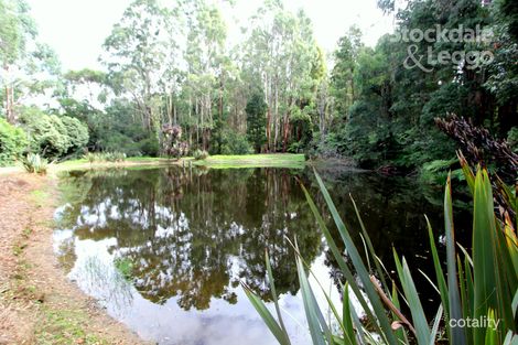 250 Fishers Rd, Boolarra South, VIC 3870