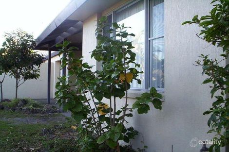 Property photo of 2/4 Belongil Crescent Byron Bay NSW 2481